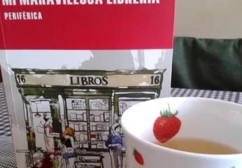 Mi maravillosa librería, 2a part