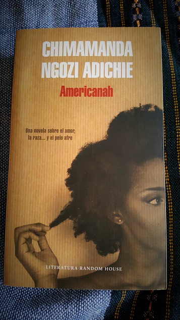 Thumbnail of Americanah