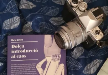 Dolça introducció al caos