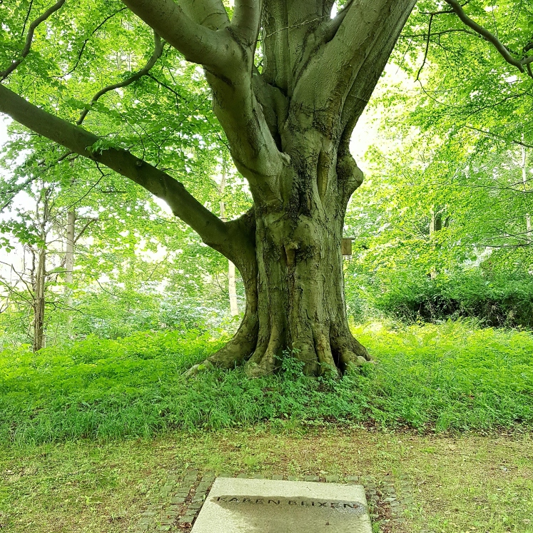 Karenblixen