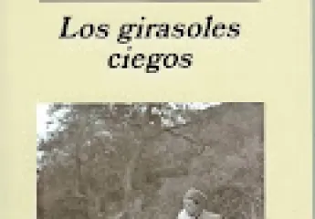 Los girasoles ciegos