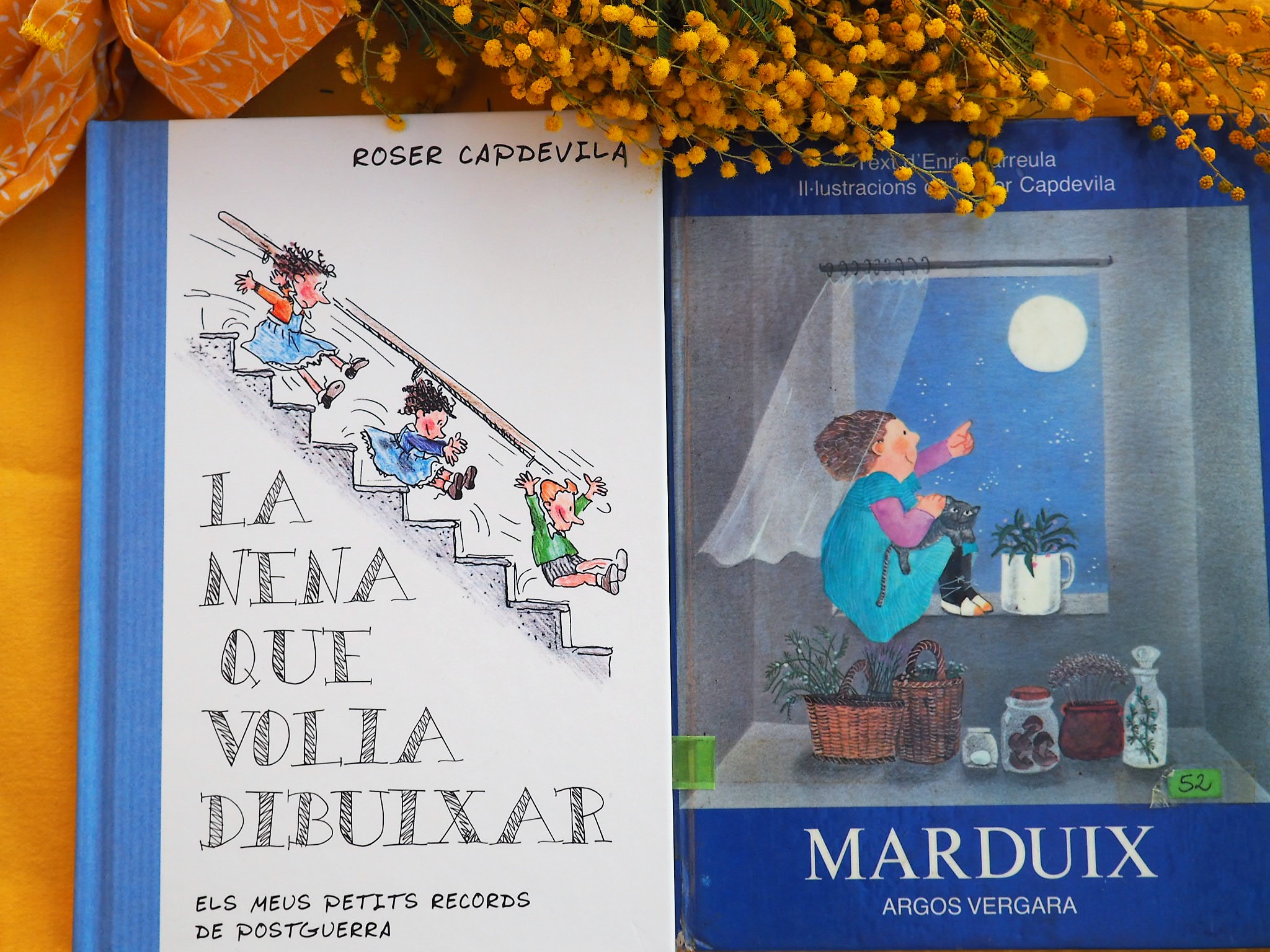 La nena que volia dibuixar