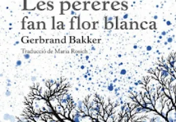 Les pereres fan la flor blanca