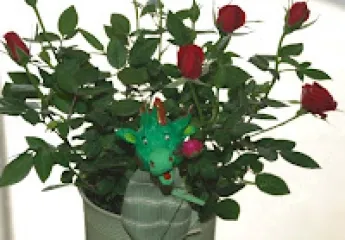 Abril a flor de pell