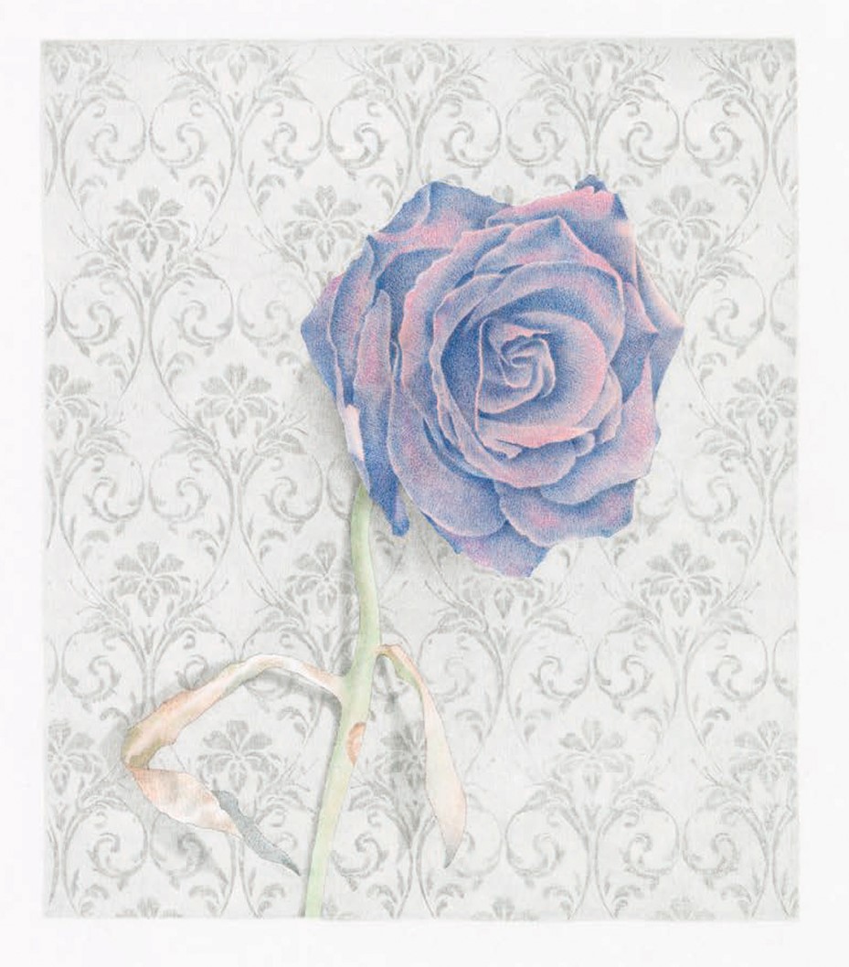 Viatges i flors promo 16 2