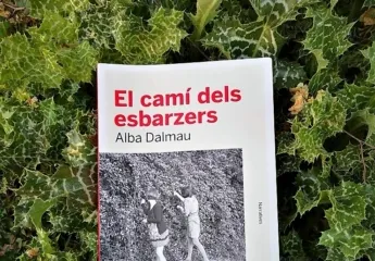 El camí dels esbarzers
