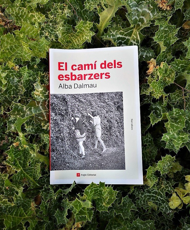 El camí dels esbarzers