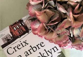 Creix un arbre a Brooklyn