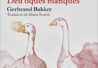 Deu oques blanques
