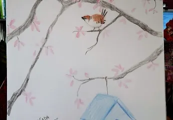 Novembre