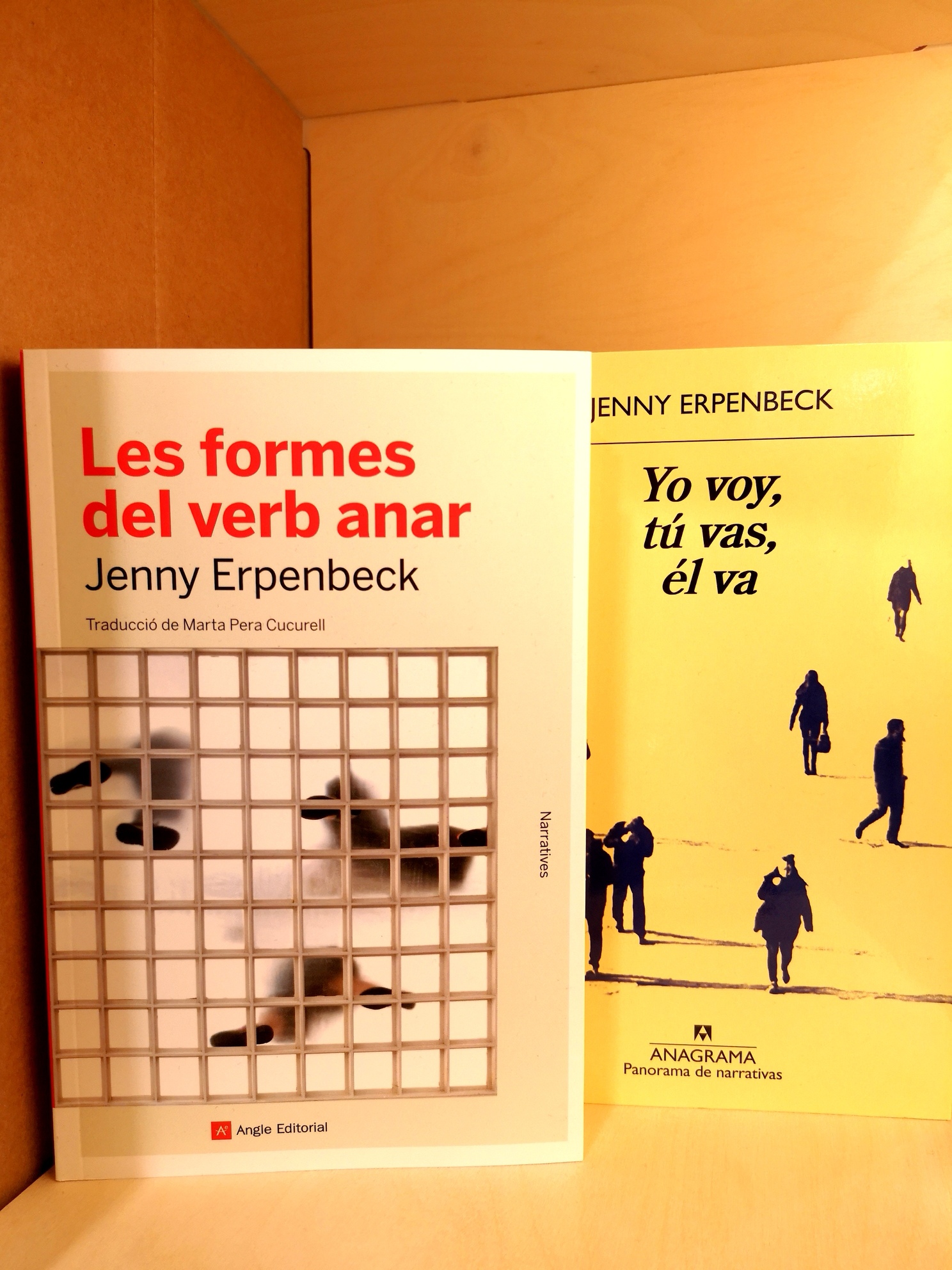 Les formes del verb anar