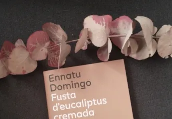 Fusta d’eucaliptus cremada