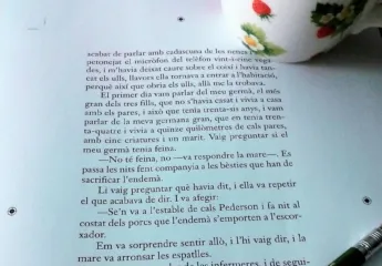 Em dic Lucy Barton