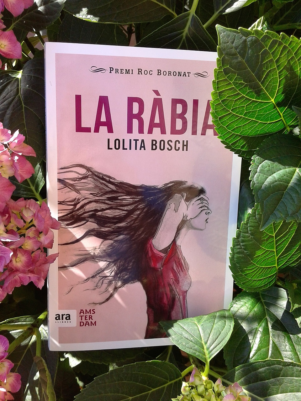 Thumbnail of La ràbia