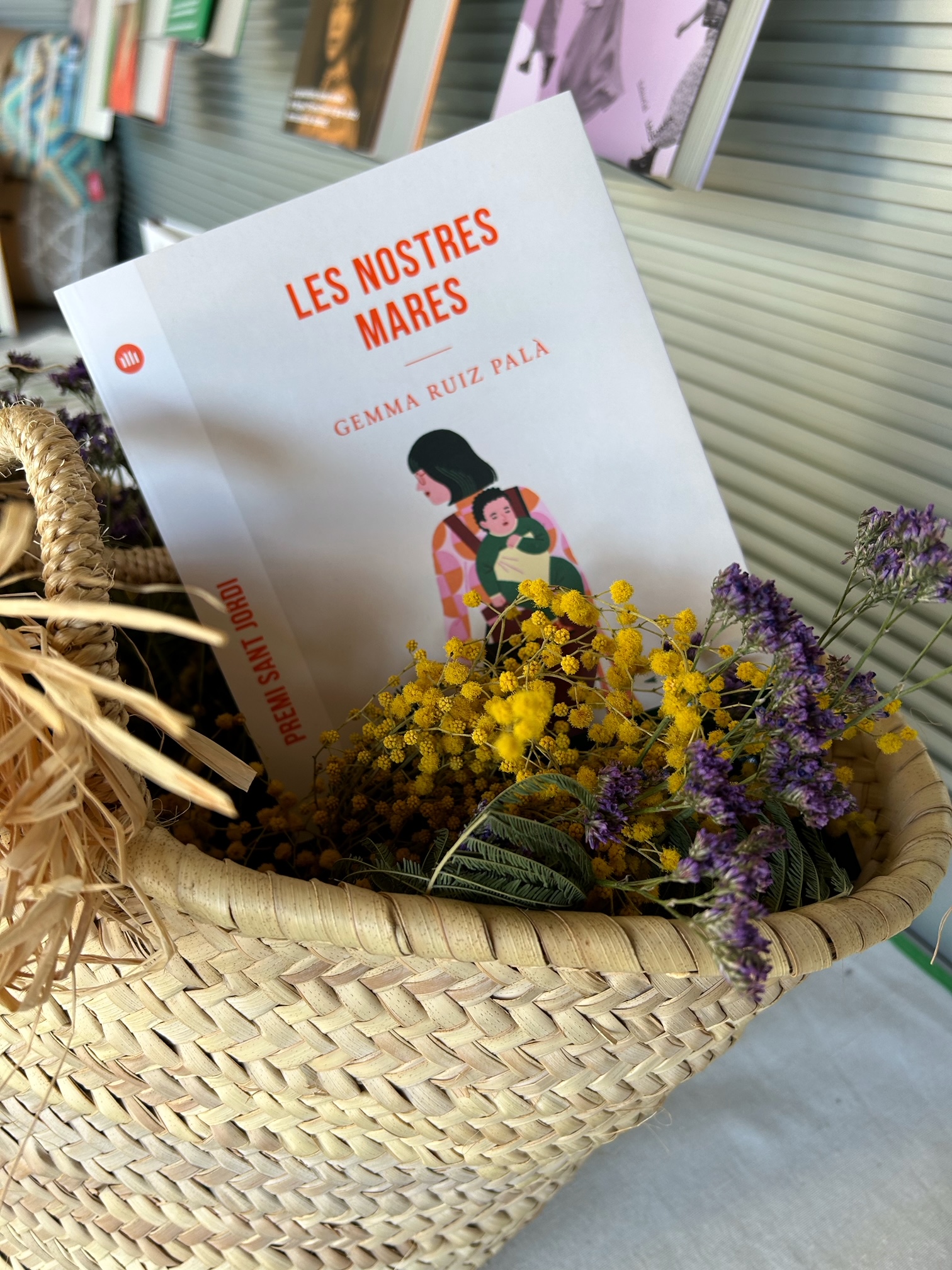 Les nostres mares