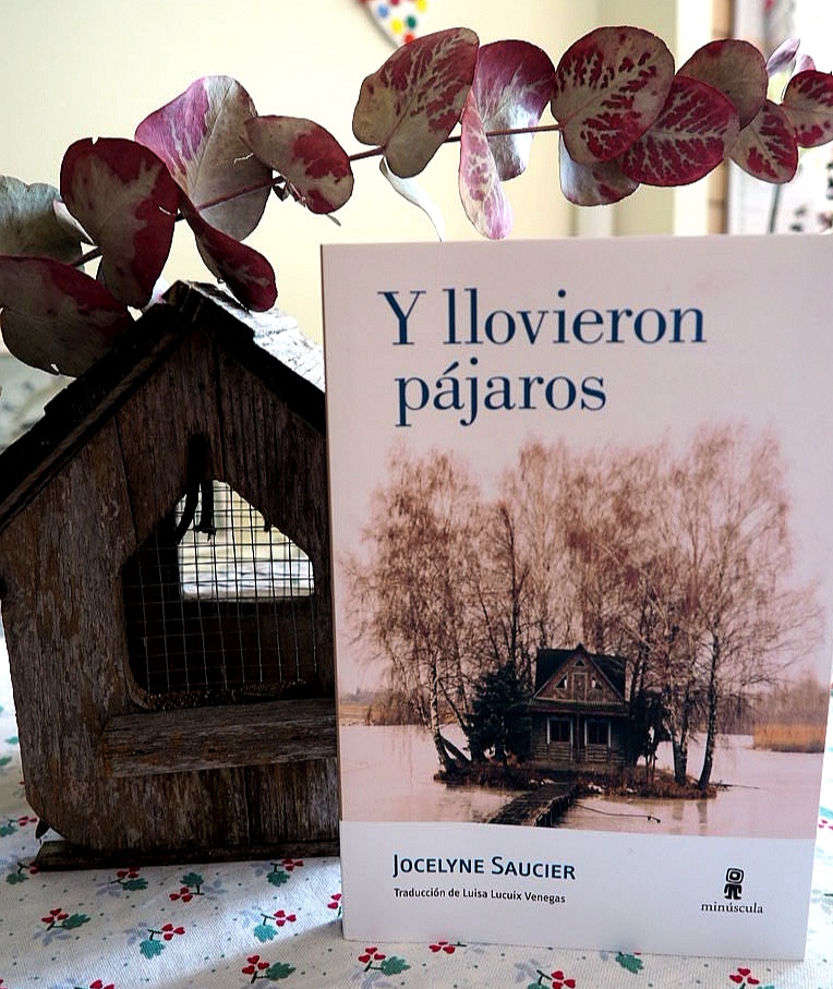 Y llovieron pájaros