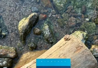 La Lucy a la vora del mar