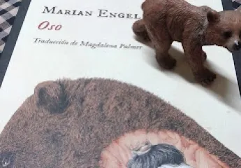 Oso