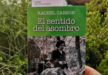 El sentido del asombro