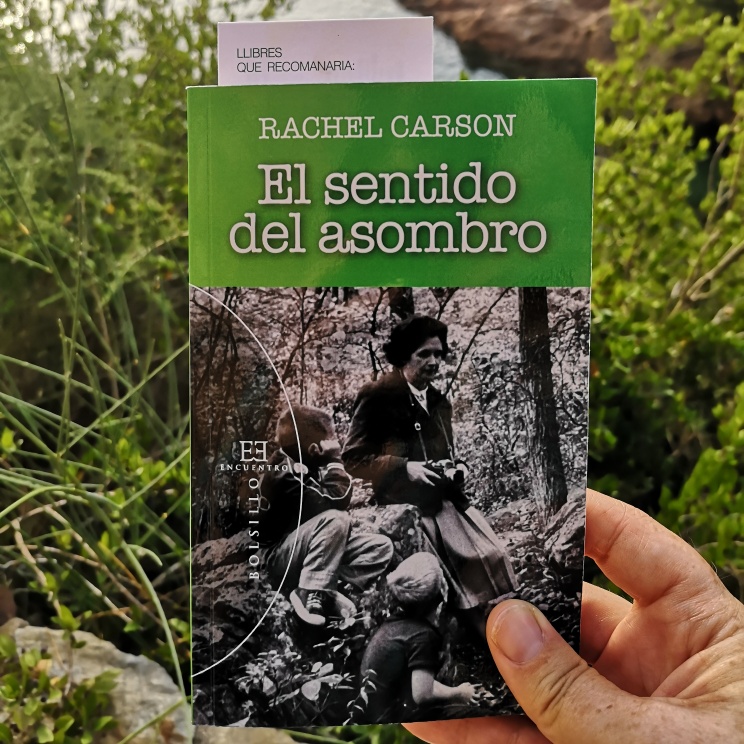 El sentido del asombro